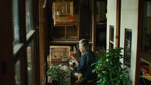 モリのいる場所 Bild 7