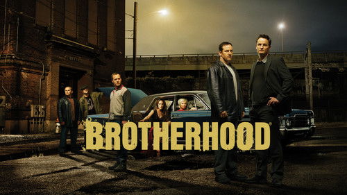 Brotherhood Bild 3