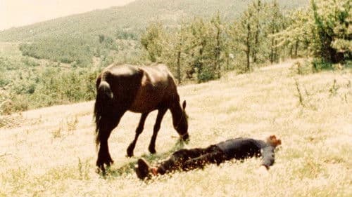 Μπαλαμός Bild 1