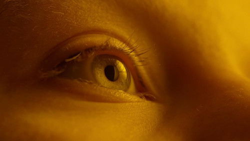 The First Taste Bild 1