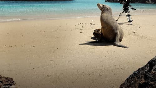 Guardians of the Galapagos Bild 2