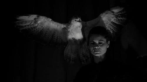 Die Vergewaltigung des Vampirs Bild 6