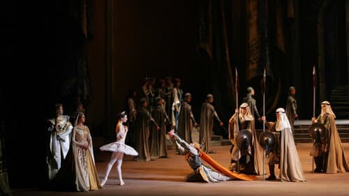 Bolshoi Ballet: Raymonda Bild 2