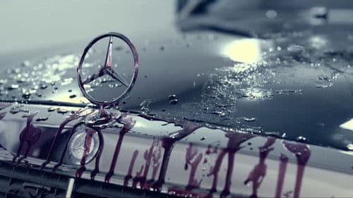 Passeio Noturno Bild 1