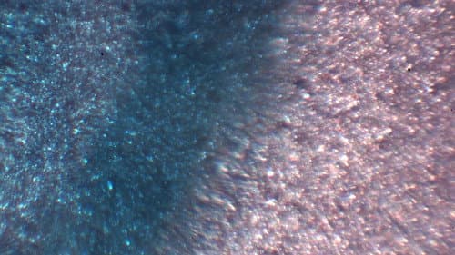 The Fly of Theseus Bild 1