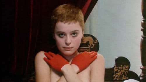 Vtáčkovia, siroty a blázni Bild 1