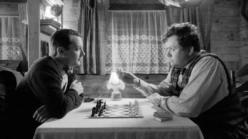 Set Fire to the Stars Bild 2