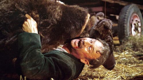 Der rote Schatten Bild 4