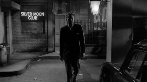 Never Back Losers Bild 1