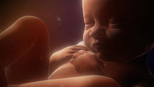 In the Womb: Multiples Bild 1