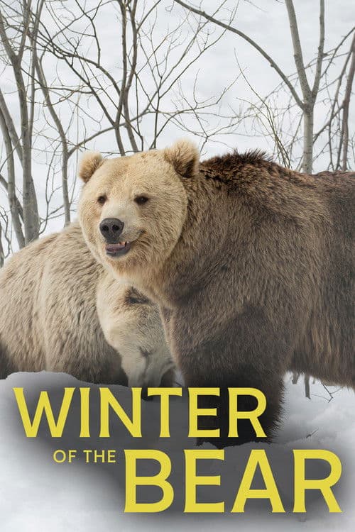 Winter of the Bear