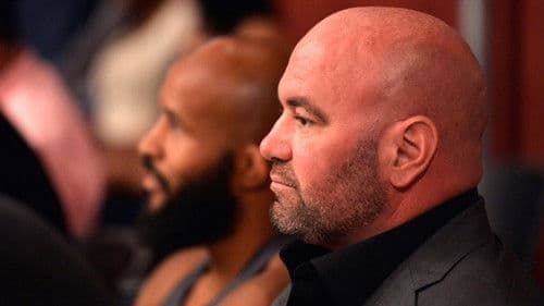 Dana White's Contender Series Bild 3