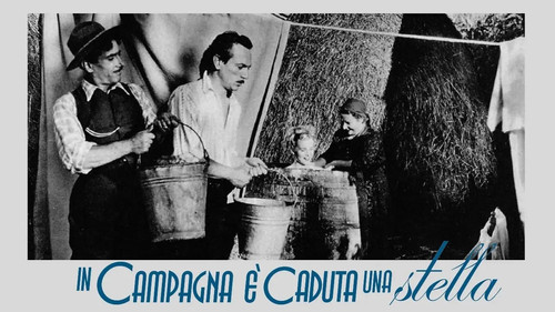 In campagna è caduta una stella Bild 1