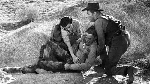 Der Siebente ist dran Bild 2