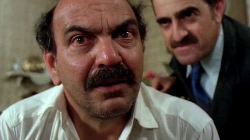 Os Sete Gatinhos Bild 4