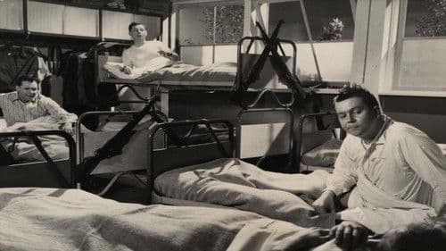 Hinein ins Vergnügen Bild 1