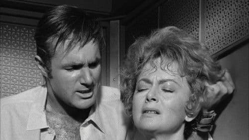 Lady in a Cage Bild 3