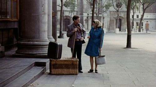 Ein verrücktes Freudenhaus Bild 3