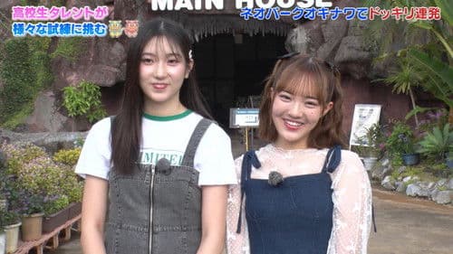 はじめの一歩旅 Bild 1