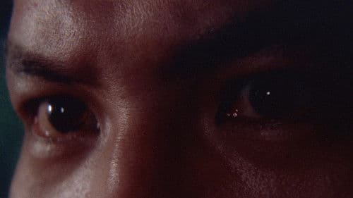 Stray Cat Rock: Wild Jumbo Bild 5