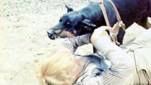 Dobermänner - Zum Töten abgerichtet Bild 1