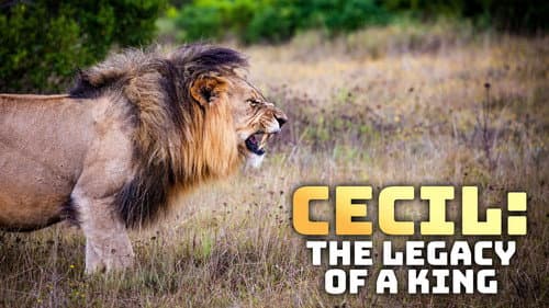 Cecil: The Legacy of a King Bild 1
