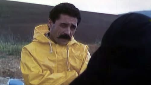 Cri de Pierre Bild 7