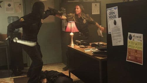 The Collected Bild 5