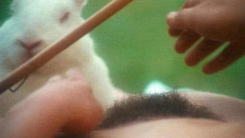 Unmoralische Engel Bild 2