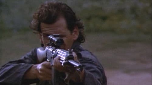 American Eagle Bild 1