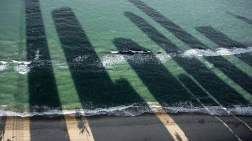 Um lugar ao sol Bild 3