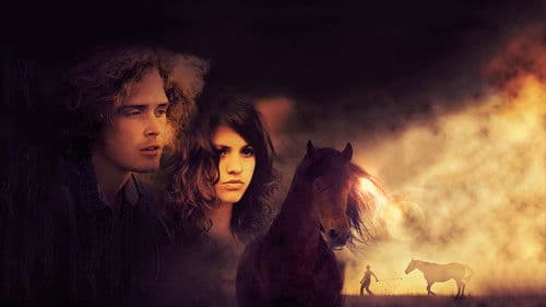 Das vergessene Pferd Bild 1