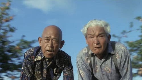 ハワイアン・ドリーム Bild 6