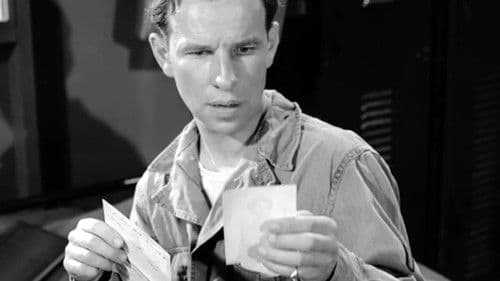 A Letter for Evie Bild 1