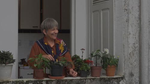 Vista para dias nublados Bild 1