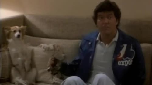 Les chiens chauds Bild 5