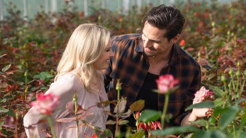 Together Forever Tea Bild 4