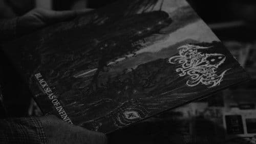 The Madness in the Grooves Bild 5