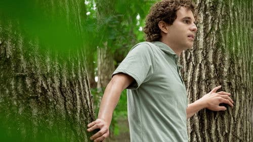 Dear Evan Hansen Bild 2