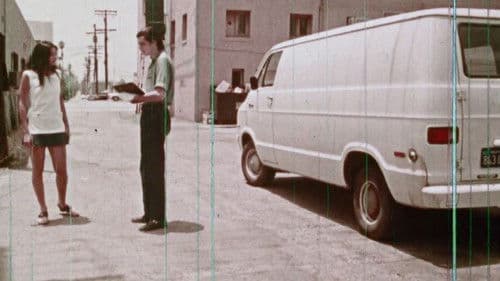 Specimen: Female Bild 7