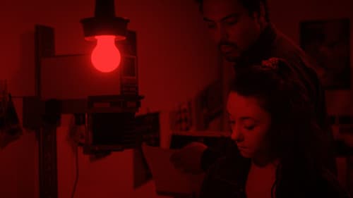 Le jour où un zèbre devint tigre Bild 1