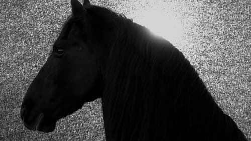 Absent Now the Dead Bild 1