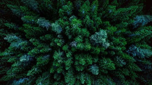 A World of Calm Bild 1