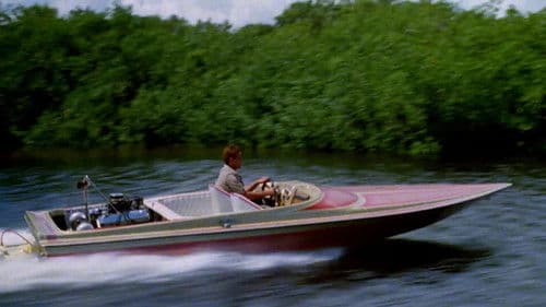 Dschungel-Django Bild 8