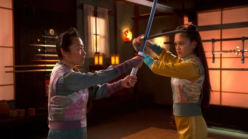 De Piraten van Hiernaast II: De Ninja's van de Overkant Bild 2