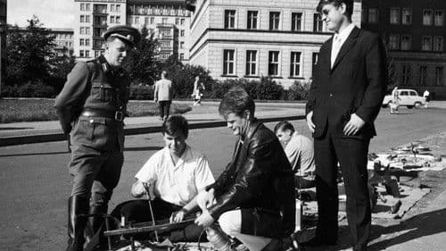 Das Kaninchen bin ich Bild 6