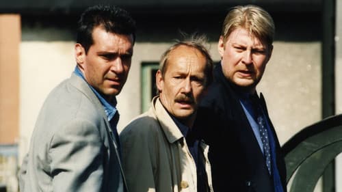 Stockholm Marathon Bild 1