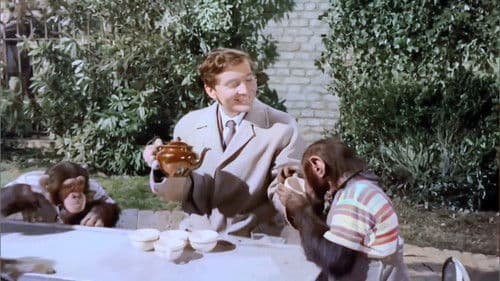 Ist ja irre - Nicht so toll, Süßer Bild 4