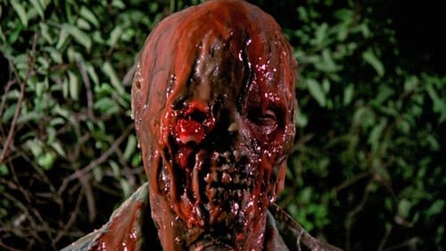 Der Planet Saturn läßt schön grüßen Bild 6