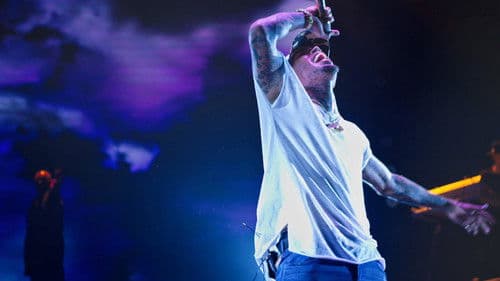 Chris Brown: Welcome to My Life Bild 5